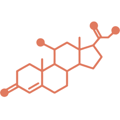 Bioidentical Hormone Replacement Therapy (BHRT) icon